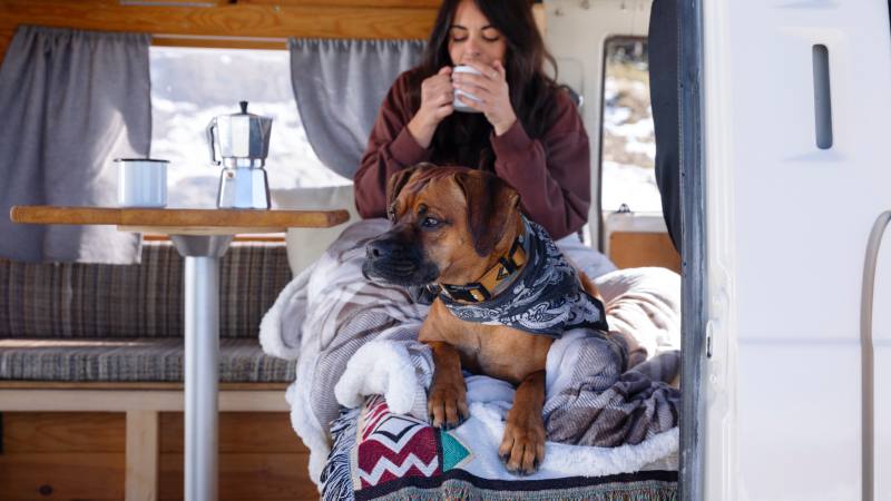 Paws and Relax: Discovering the Best Pet-Friendly Accommodation in Adelaide