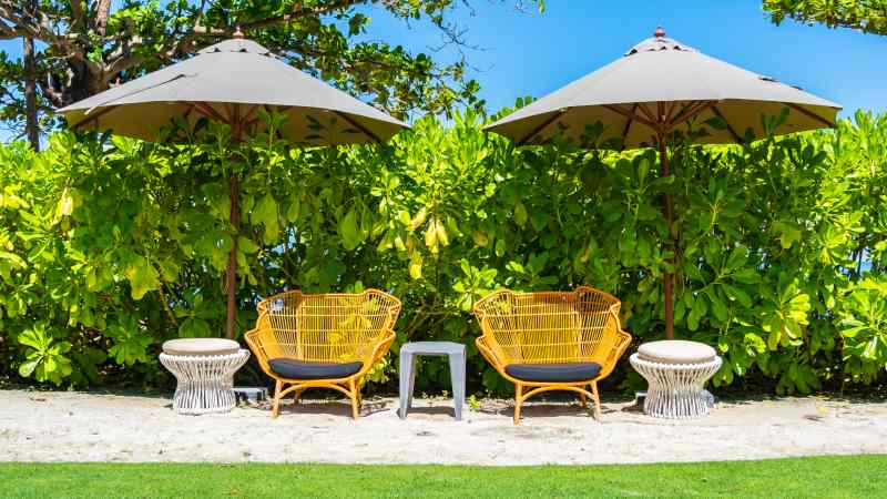 Designing and Maintaining Your Dream Home