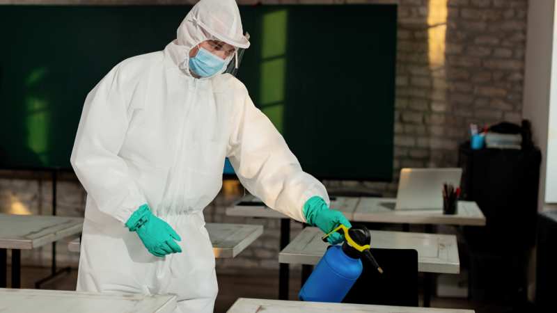 Why Is Professional Pest Management Essential in the Orlando Homes