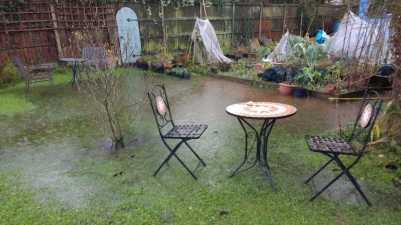 Top Causes of Backyard Water Pooling and How to Fix Them