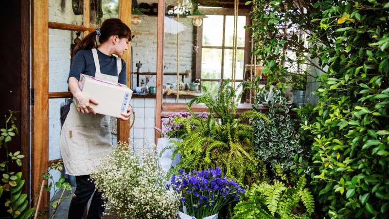 How Garden Stores Can Help with Landscaping Ideas