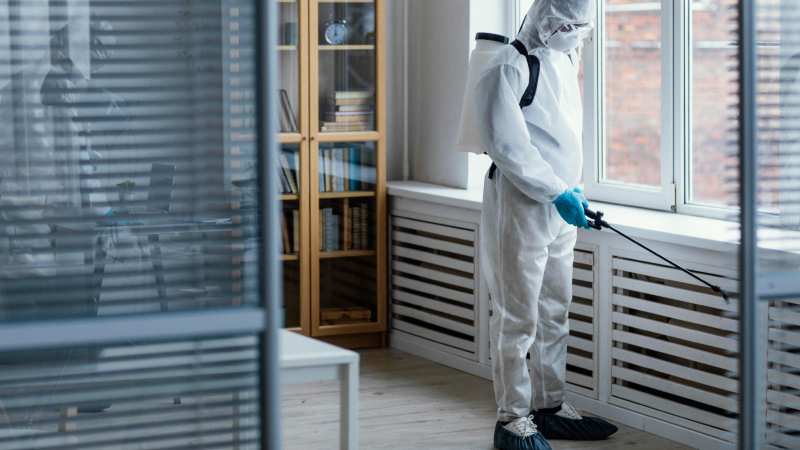 How To Choose The Right Pest Control Service In Beaumont