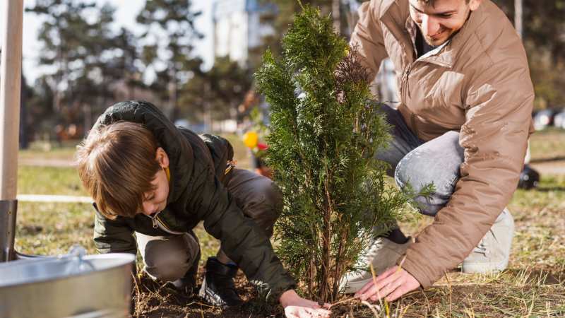 Seasonal Tree Care Matters for Homeowners in Columbus, OH