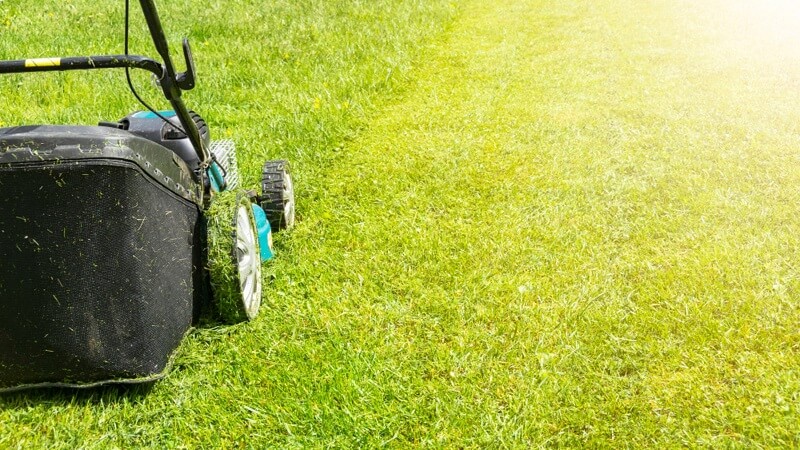 Top 10 Lawn Mistakes Britons Still Make